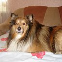 ���� ����, ������, 58 ��� - ��������� 17 ������� 2012 � ������ ���� ����������