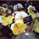 ���� ����. ��������� �� ��!, ������, 72 ���� - ��������� 13 ������ 2011 � ������ ��������