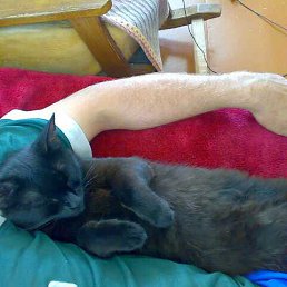 ���� �����, ����, 45 ��� - ��������� 9 �������� 2012