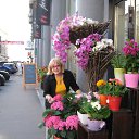 ���� ����, ������, 70 ��� - ��������� 31 ��� 2013