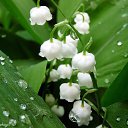 ���� ���������, ������ - ��������� 18 ���� 2013 � ������ ��������