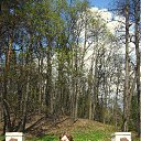 ���� ����, ������, 44 ���� - ��������� 14 ��� 2011 � ������ ���� ����������