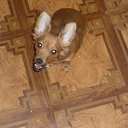 ���� &deg;&bull;*������&deg;&bull;*, ����������, 23 ���� - ��������� 15 ��� 2010 � ������ ���� ��������