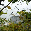 ���� Palmel, ��������, 47 ��� - ��������� 3 ������ 2009 � ������ �������