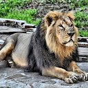 ���� ������, ���������, 60 ��� - ��������� 12 �������� 2012 � ������ ��������