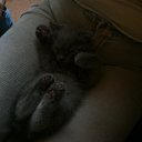 ���� ����, �������, 23 ���� - ��������� 1 ��� 2011 � ������ ���� ���