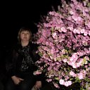 ���� �������, ������, 57 ��� - ��������� 29 ���� 2011 � ������ ���� ����������