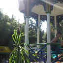 ��������� ������������ ��� �� ������� ������� 2013�