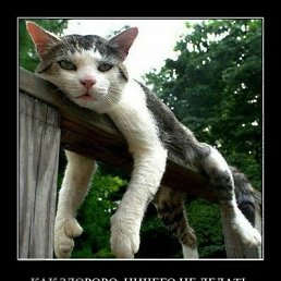 ���� �����, ������, 63 ���� - ��������� 26 ������ 2012