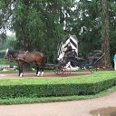 ���� ��������, ������, 43 ���� - ��������� 5 ������� 2011 � ������ �������� � �������� ��������