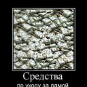 ���� �����, ����������, 41 ��� - ��������� 2 ������� 2011