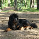 ���� ����, ���������, 49 ��� - ��������� 7 ���� 2013 � ������ ����� ��� ������������