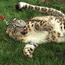 ���� ����, ����-���, 59 ��� - ��������� 21 ������� 2009 � ������ �������