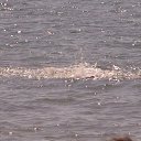 ���� Veaceslav, �����������, 46 ��� - ��������� 29 ������� 2012 � ������ ���� ����������