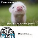 ���� ��� ���, �����-���������, 42 ���� - ��������� 27 ����� 2013