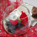 ���� Lolo4ka.87@mail.ru, ������, 38 ��� - ��������� 16 ������ 2011