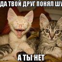 ���� ������, �����, 38 ��� - ��������� 30 ��� 2013 � ������ ������ ��������