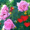 ���� ����, ������, 54 ���� - ��������� 6 ��� 2013 � ������ ���� ����������