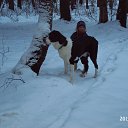 ���� ������, �������, 69 ��� - ��������� 18 ������ 2013 � ������ ����