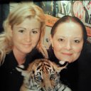 ���� �������, ������, 41 ��� - ��������� 13 ���� 2010 � ������ ���� ����������