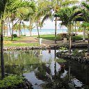 ���� ��t� ����, ������ - ��������� 9 ������ 2011