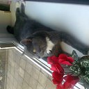 ���� Gintasxxx, ������, 62 ���� - ��������� 6 ���� 2012 � ������ ����