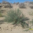 ���� ������, ��������� - ��������� 17 �������� 2012 � ������ �������