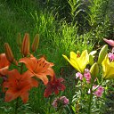 ���� �����, ����������, 49 ��� - ��������� 11 ����� 2011 � ������ ������� ���������