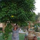 ���� �������, �����, 54 ���� - ��������� 22 ������ 2012