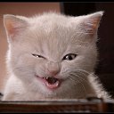 ���� ������, ���������� - ��������� 20 �������� 2012 � ������ �������