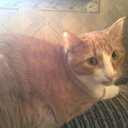 ��� �������� �� ������� �������