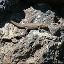 ���� ����, ����, 57 ��� - ��������� 21 �������� 2012 � ������ ������� ���� �������