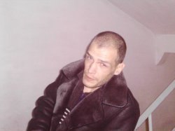 �����, ��������, 41 ���