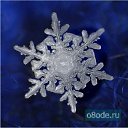 ���� �������, ������, 41 ��� - ��������� 9 ������� 2009 � ������ ���������