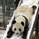 ���� ����, ��������, 49 ��� - ��������� 29 �������� 2011