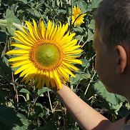 ������, 23 ����, ����