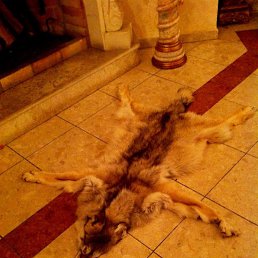 ���� �����, ������, 42 ���� - ��������� 30 �������� 2012