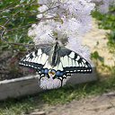  , -, 40  -  16  2011     