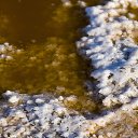 ���� �� ������� ���� ����������