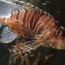 ���� �����, �������������, 25 ��� - ��������� 28 ���� 2013 � ������ ������.�