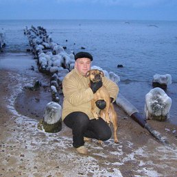 ����� �������, �����������, 56 ���