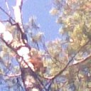 ���� Vlad, ������ - ��������� 15 �������� 2012 � ������ ���������� ������