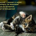 ���� ��������, ������, 35 ��� - ��������� 19 ������ 2011 � ������ �������