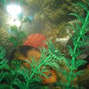 ���� ����, ������ - ��������� 22 ������� 2012 � ������ ���� ��������� �� ���������� �����!!!�