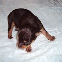 ���� ������, ������, 68 ��� - ��������� 9 ������� 2012 � ������ ���� ��������