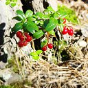 ���� �������, ������� - ��������� 10 ������ 2010 � ������ ����...������