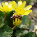 ���� ������, ���������� - ��������� 10 �������� 2011 � ������ �������