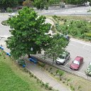 ���� �������, ����, 37 ��� - ��������� 17 ���� 2010 � ������ �������