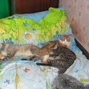 ���� Alex, ������, 50 ��� - ��������� 6 ��� 2012 � ������ ���� ����������