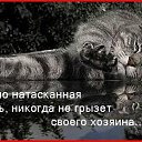 ���� Angely, ������� - ��������� 2 ������ 2011 � ������ ���� ����������